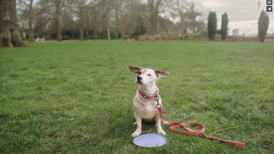 EE Network 4G For All Food Nuts