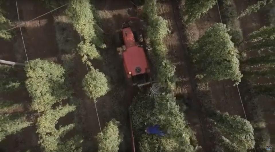 Screen Shot 2019-07-26 at 18.59.46